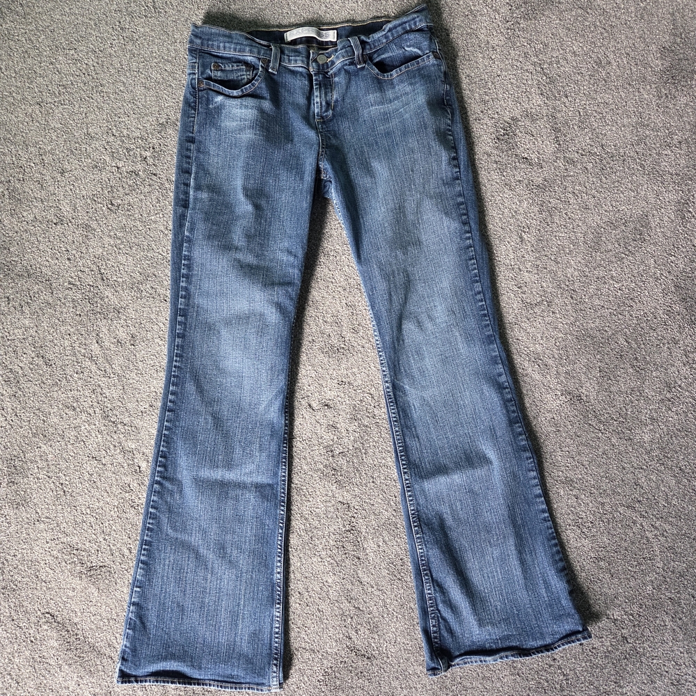 Express Women's Blue Flare Jeans